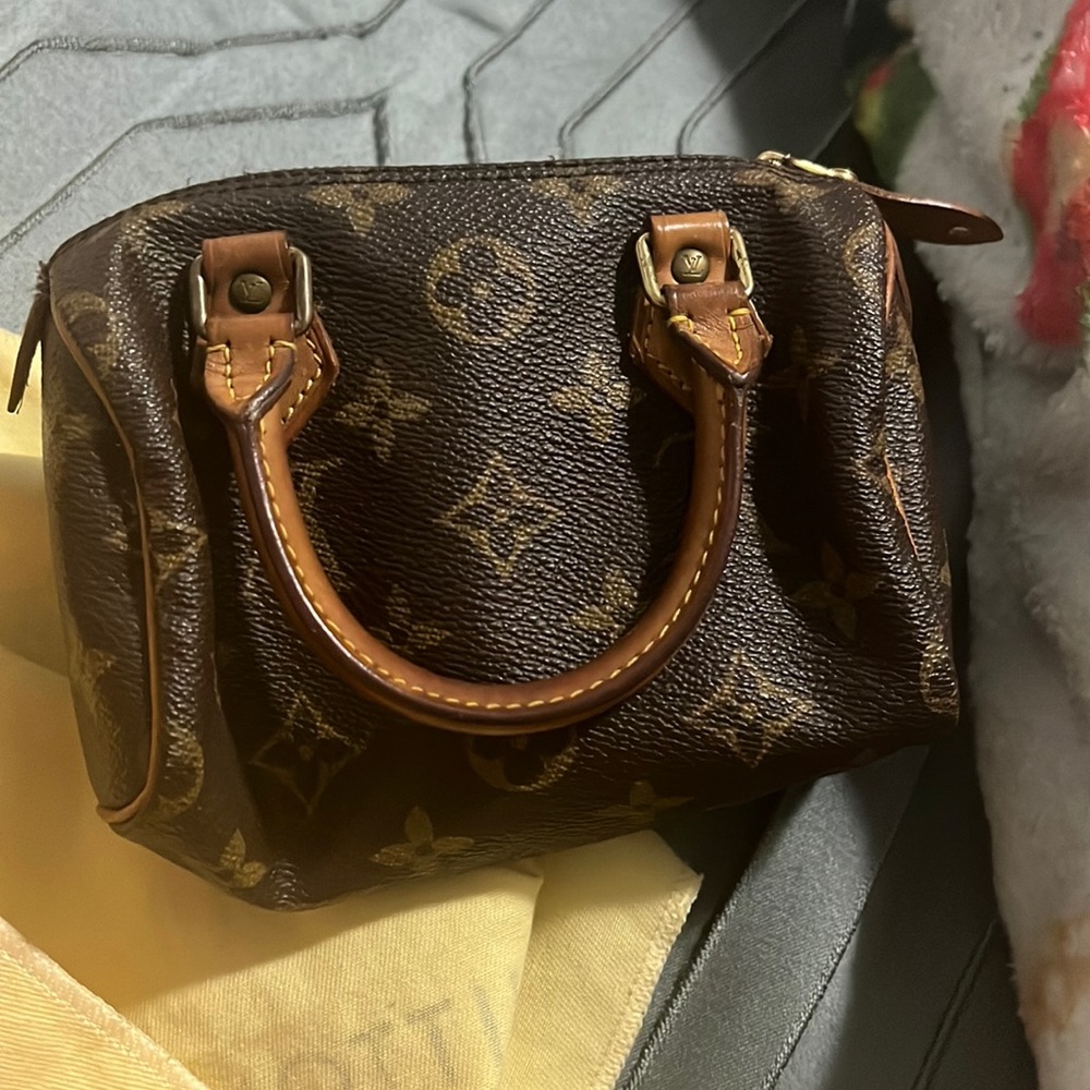 Lv speedy mini bag